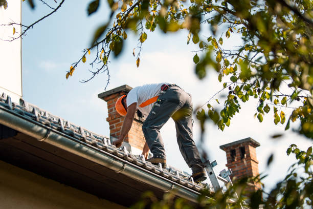 Best Storm Damage Roof Repair  in Honaker, VA
