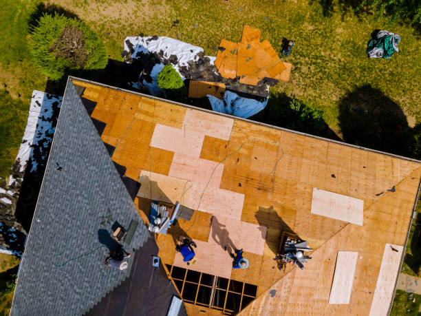 Best Local Roofing Companies  in Honaker, VA