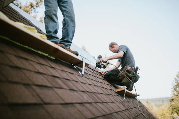 Best Local Roofing Companies  in Honaker, VA